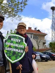 saray manset